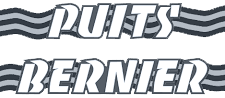 Logo de Puits Bernier (gris) - CRM CentrixOne